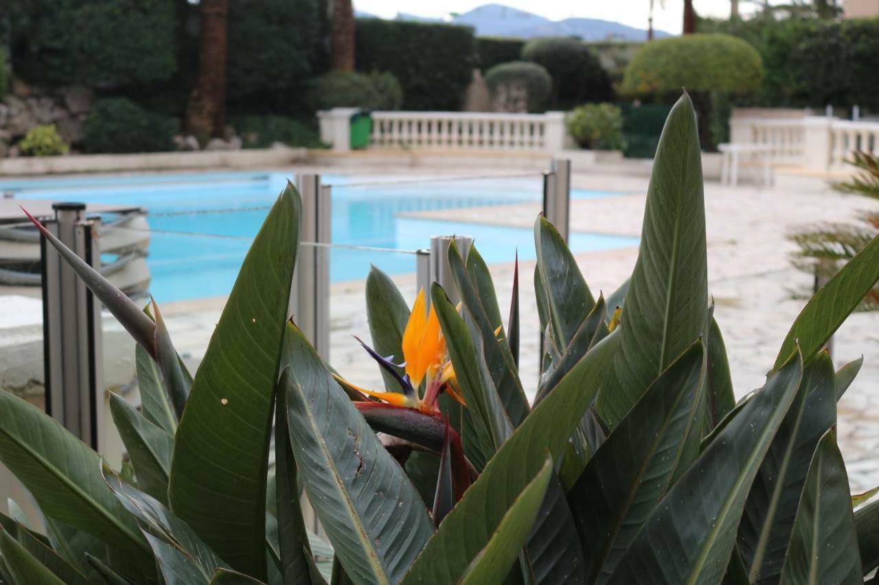 Appartement Palm D'Azur Cannes Exterior photo